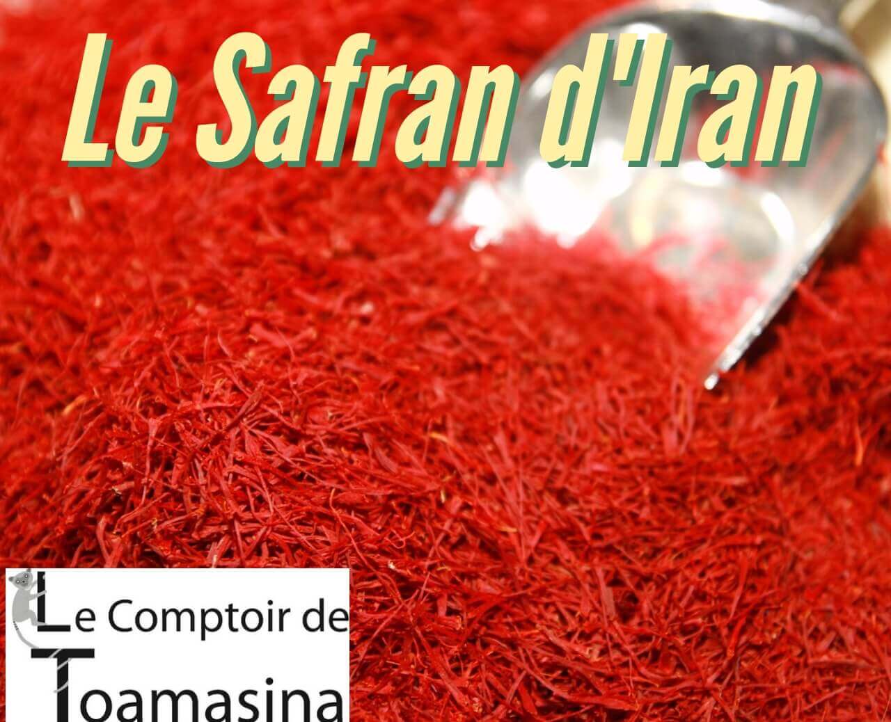 Wholesaler in Iranian Saffron - Buy Premium Saffron